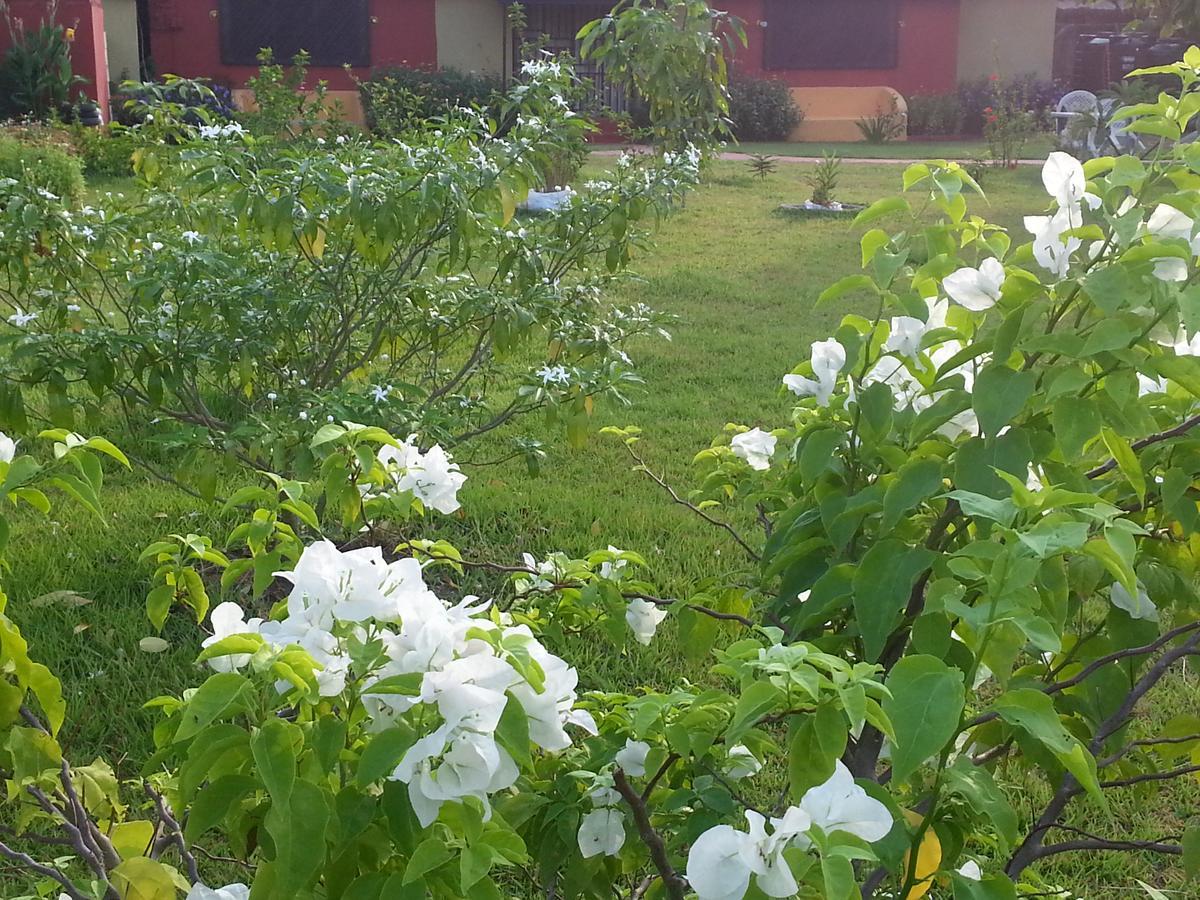 Golden Lilies Hotel Kokrobite Buitenkant foto
